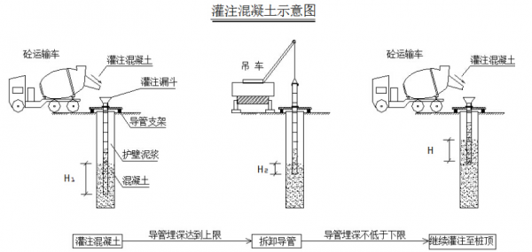 bat365官方网站在水泥中加入竹子用竹子代替钢筋建房真的比钢筋好用吗？(图1)