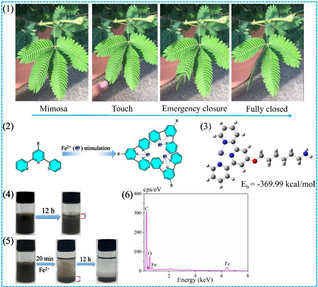 bat365华南农业大学杨卓鸿教授《CEJ》：木质素和吡啶衍生物改性的氧化石墨烯(图4)