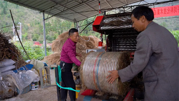 bat365官方网站都匀：积极探索秸秆综合利用 推动环保与增收“双赢”(图5)